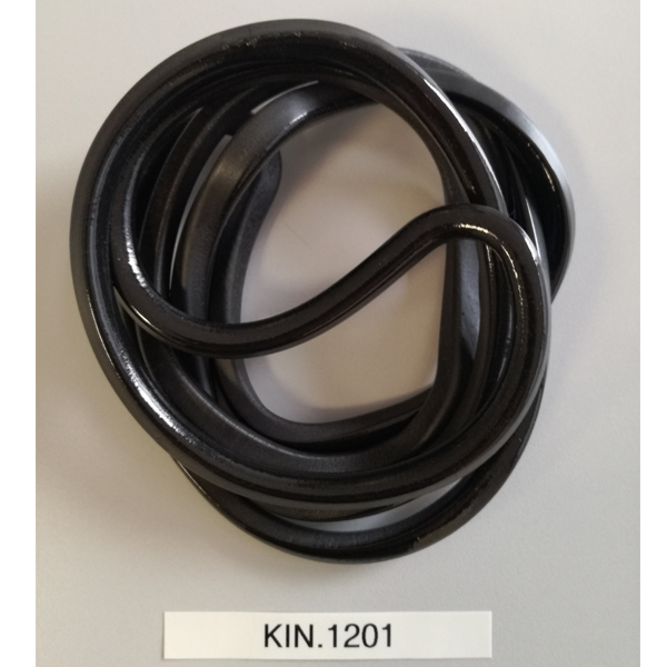 KIN 1201